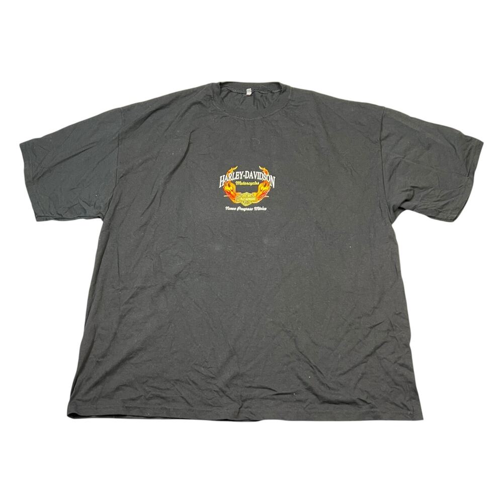 Harley Davidson Nuevo Progreso Mexico Flames Double Sided Tee T-Shirt Black 3X